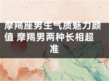 摩羯座男生气质魅力颜值 摩羯男两种长相超准