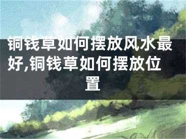 铜钱草如何摆放风水最好,铜钱草如何摆放位置