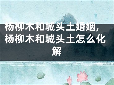 杨柳木和城头土婚姻,杨柳木和城头土怎么化解