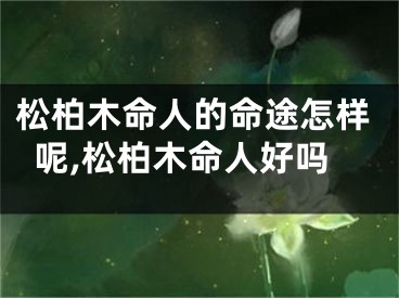 松柏木命人的命途怎样呢,松柏木命人好吗