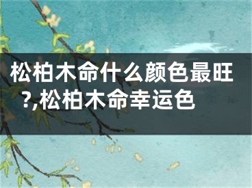 松柏木命什么颜色最旺?,松柏木命幸运色