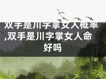 双手是川字掌女人概率,双手是川字掌女人命好吗