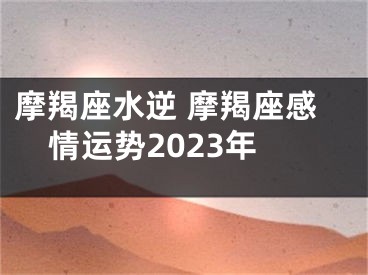 摩羯座水逆 摩羯座感情运势2023年