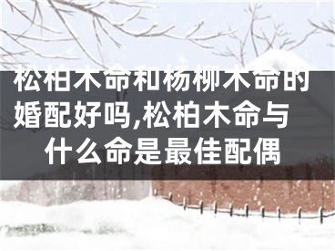 松柏木命和杨柳木命的婚配好吗,松柏木命与什么命是最佳配偶