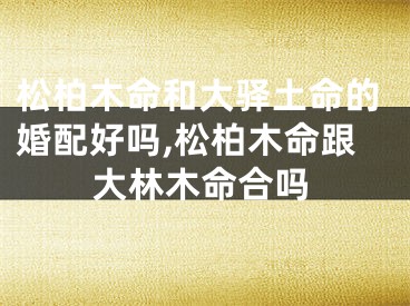 松柏木命和大驿土命的婚配好吗,松柏木命跟大林木命合吗