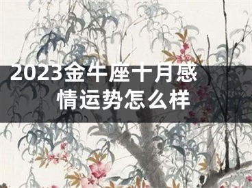 2023金牛座十月感情运势怎么样