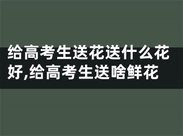 给高考生送花送什么花好,给高考生送啥鲜花