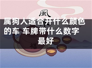 属狗人适合开什么颜色的车 车牌带什么数字最好
