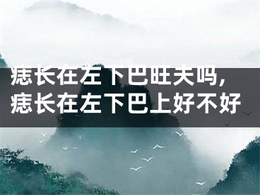 痣长在左下巴旺夫吗,痣长在左下巴上好不好