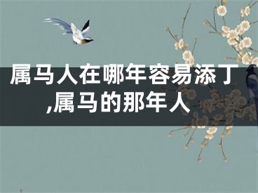 属马人在哪年容易添丁,属马的那年人