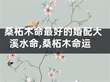 桑柘木命最好的婚配大溪水命,桑柘木命运