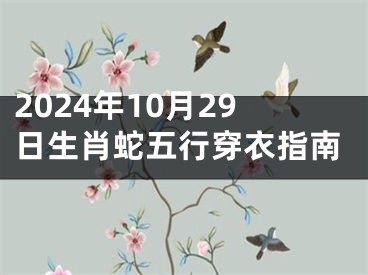 2024年10月29日生肖蛇五行穿衣指南