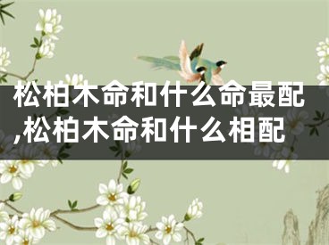松柏木命和什么命最配,松柏木命和什么相配