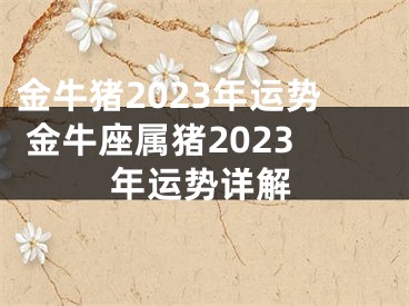 金牛猪2023年运势 金牛座属猪2023年运势详解