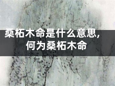 桑柘木命是什么意思,何为桑柘木命