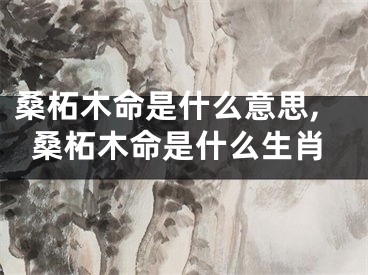 桑柘木命是什么意思,桑柘木命是什么生肖