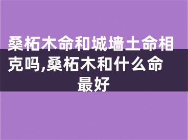 桑柘木命和城墙土命相克吗,桑柘木和什么命最好