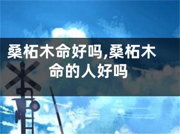 桑柘木命好吗,桑柘木命的人好吗