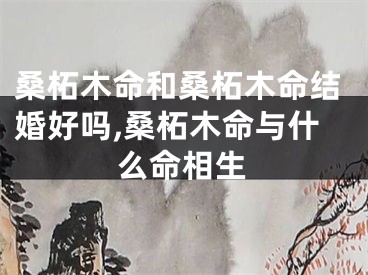桑柘木命和桑柘木命结婚好吗,桑柘木命与什么命相生