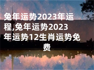 兔年运势2023年运程,兔年运势2023年运势12生肖运势免费