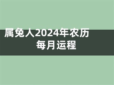属兔人2024年农历每月运程