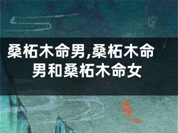 桑柘木命男,桑柘木命男和桑柘木命女
