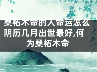 桑柘木命的人命运怎么阴历几月出世最好,何为桑柘木命