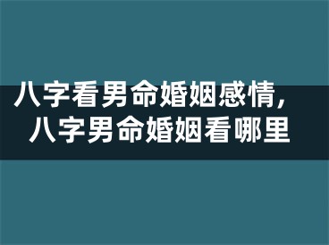 八字看男命婚姻感情,八字男命婚姻看哪里