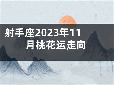 射手座2023年11月桃花运走向