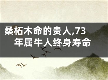桑柘木命的贵人,73年属牛人终身寿命
