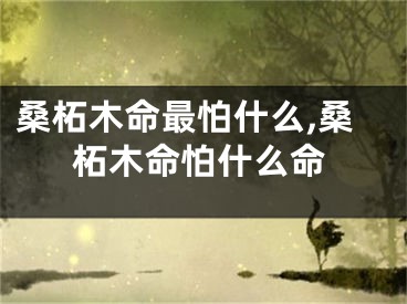 桑柘木命最怕什么,桑柘木命怕什么命
