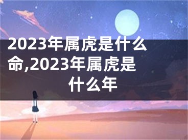 2023年属虎是什么命,2023年属虎是什么年
