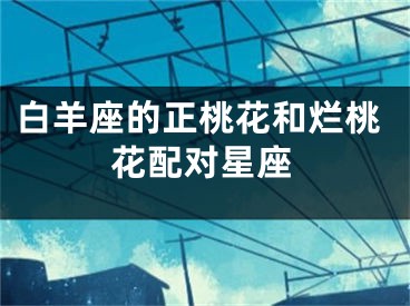 白羊座的正桃花和烂桃花配对星座