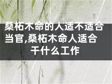 桑柘木命的人适不适合当官,桑柘木命人适合干什么工作
