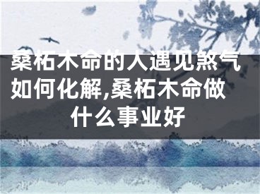 桑柘木命的人遇见煞气如何化解,桑柘木命做什么事业好