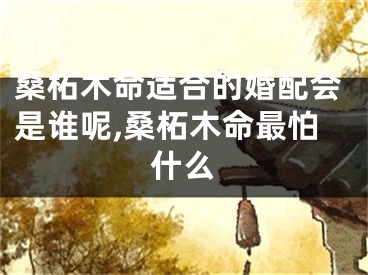 桑柘木命适合的婚配会是谁呢,桑柘木命最怕什么