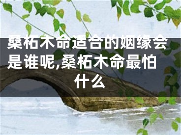 桑柘木命适合的姻缘会是谁呢,桑柘木命最怕什么