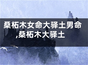 桑柘木女命大驿土男命,桑柘木大驿土