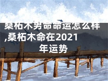 桑柘木男命命运怎么样,桑柘木命在2021年运势