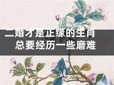 二婚才是正缘的生肖 总要经历一些磨难