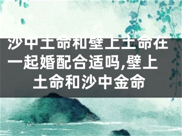沙中土命和壁上土命在一起婚配合适吗,壁上土命和沙中金命