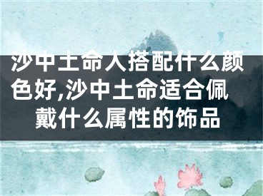 沙中土命人搭配什么颜色好,沙中土命适合佩戴什么属性的饰品