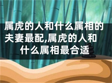 属虎的人和什么属相的夫妻最配,属虎的人和什么属相最合适
