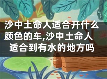 沙中土命人适合开什么颜色的车,沙中土命人适合到有水的地方吗