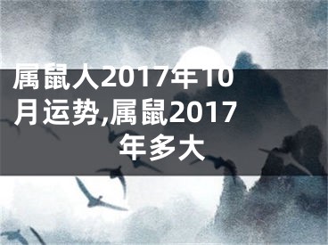 属鼠人2017年10月运势,属鼠2017年多大