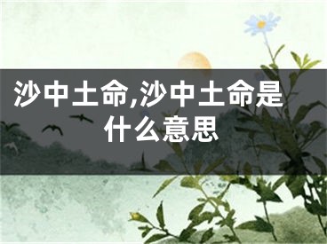 沙中土命,沙中土命是什么意思