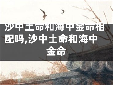 沙中土命和海中金命相配吗,沙中土命和海中金命