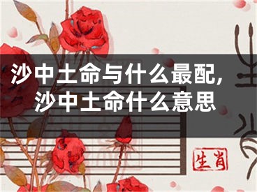 沙中土命与什么最配,沙中土命什么意思