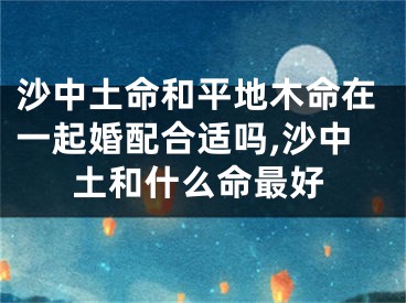 沙中土命和平地木命在一起婚配合适吗,沙中土和什么命最好