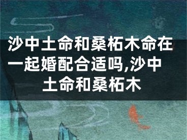 沙中土命和桑柘木命在一起婚配合适吗,沙中土命和桑柘木
